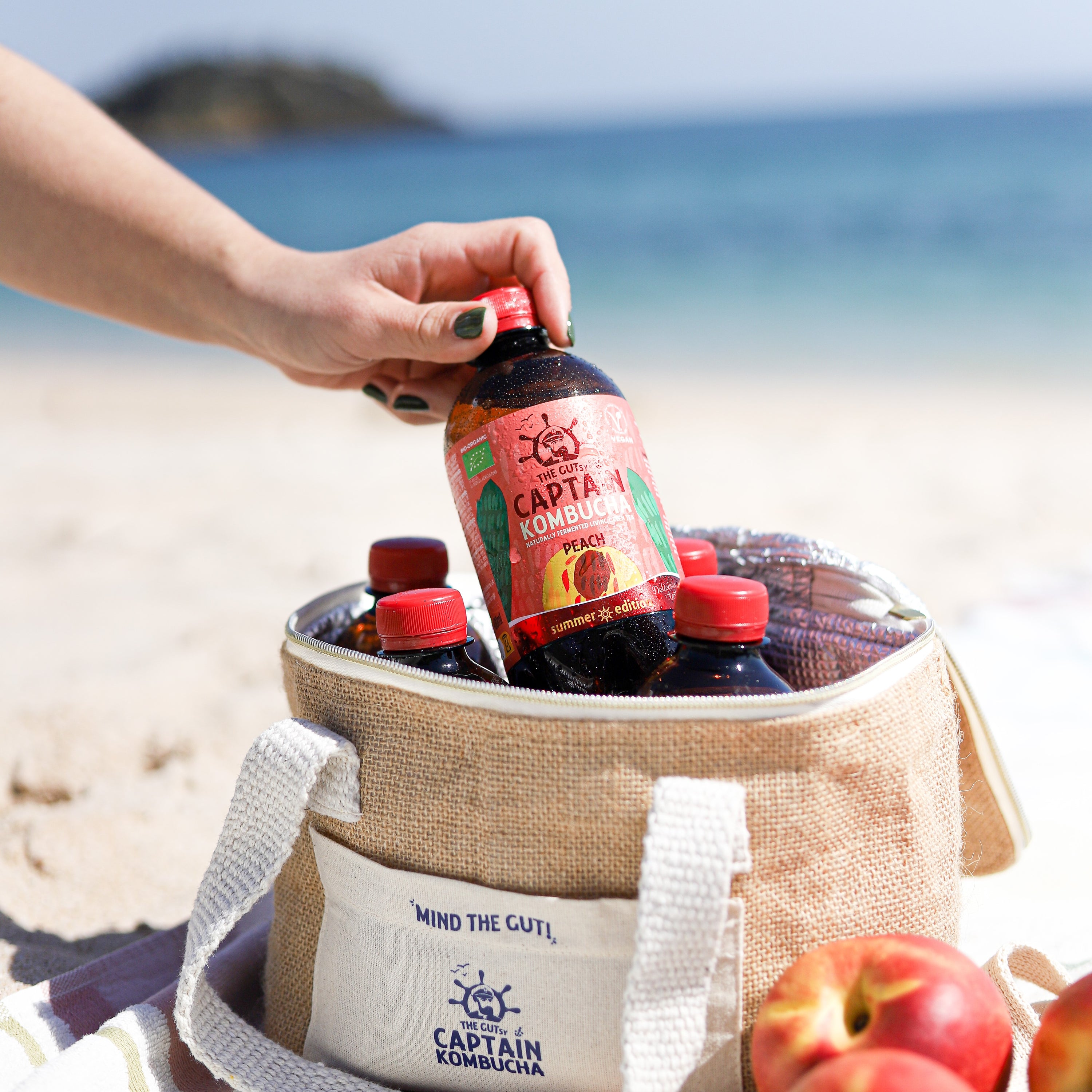 GUTsy Captain Kombucha - Pesca Estiva 12 x 400ml