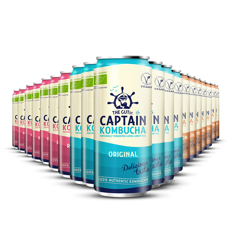 GUTsy Captain Kombucha - Confezione da 20 lattine da 250ml con gusti misti