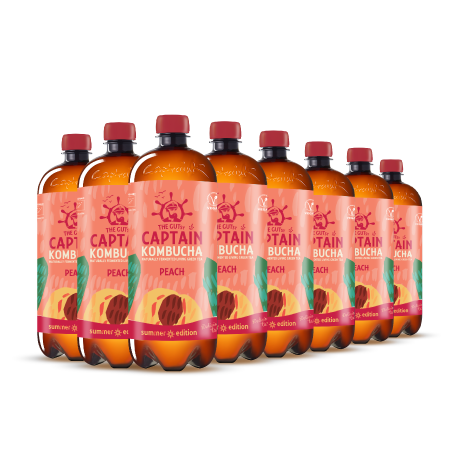 GUTsy Captain Kombucha - Pesca Estiva 8 x 1L